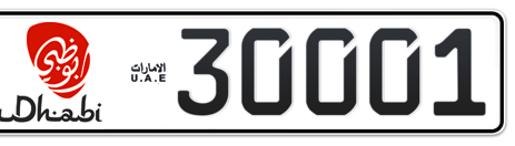 Abu Dhabi Plate number 13 30001 for sale - Short layout, Dubai logo, Сlose view