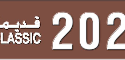 Sharjah Plate number 2 20233 for sale - Short layout, Dubai logo, Сlose view